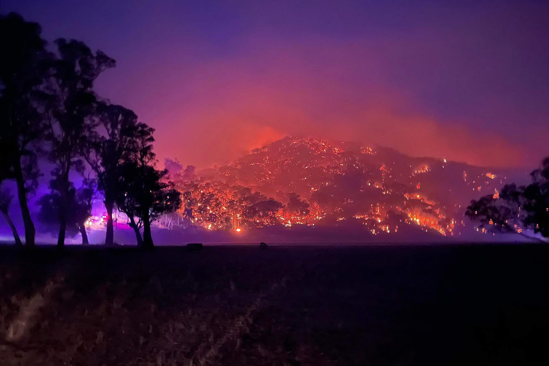 Flowerdale (Australia)