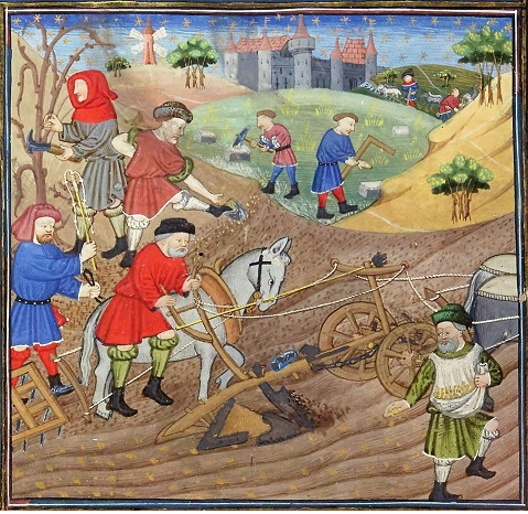 Oficios agro ganaderos en la Europa del año 1000. Fuente Bibliothèque Nationale de France