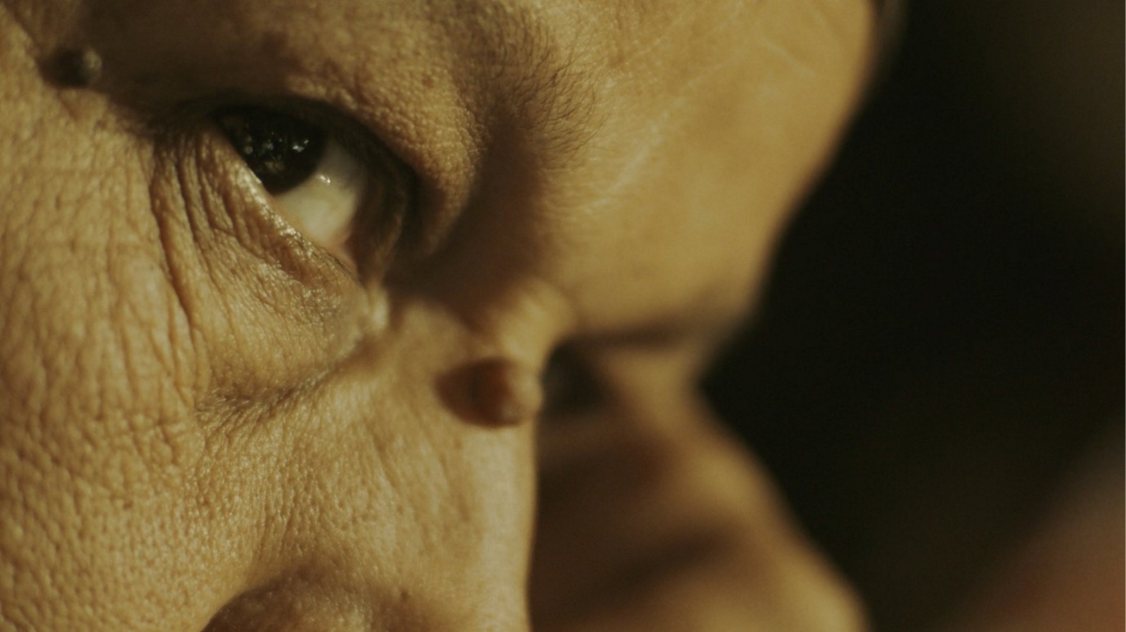 'Anqa': el trauma com a llavor de la bellesa