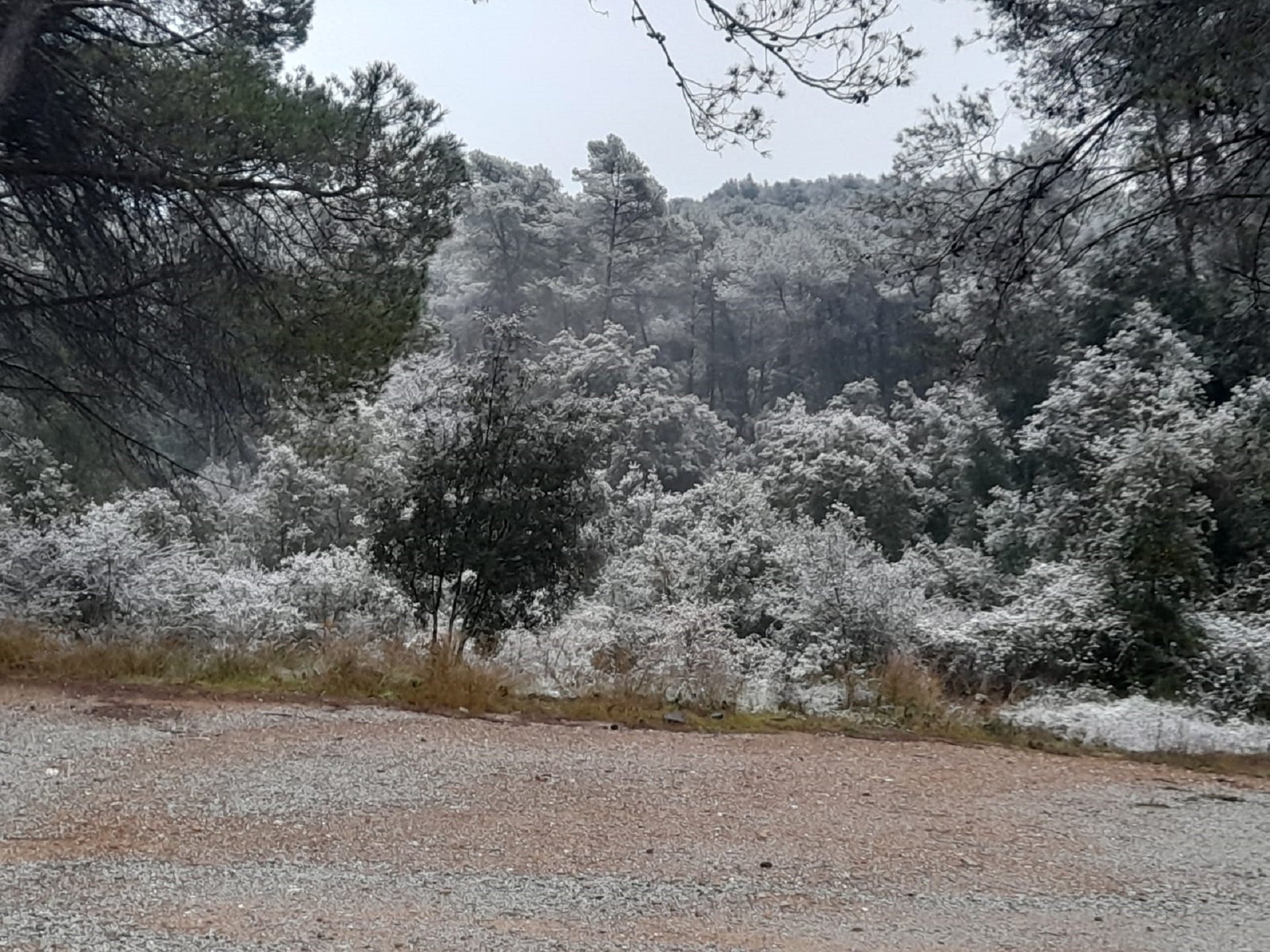 Nieve a san Cugat Nieve a san Cugat