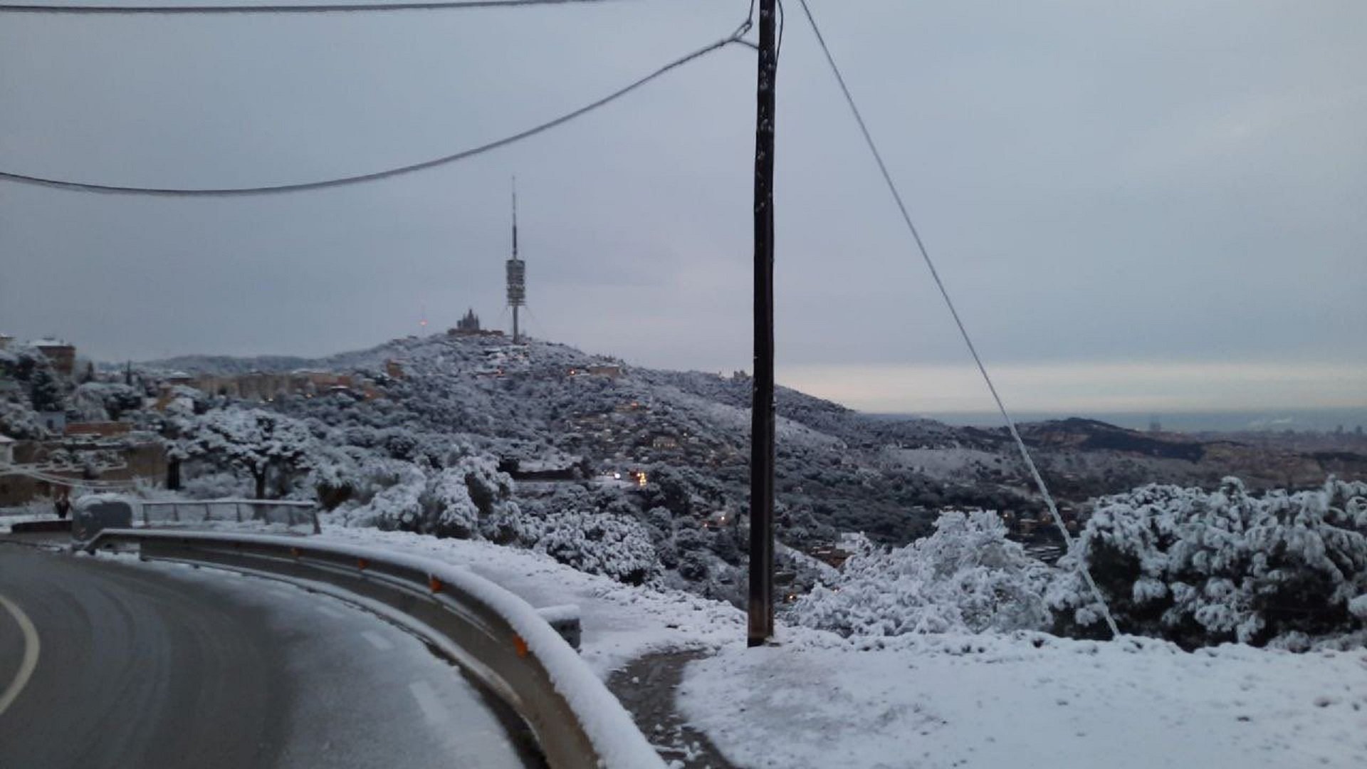 collserola collserola