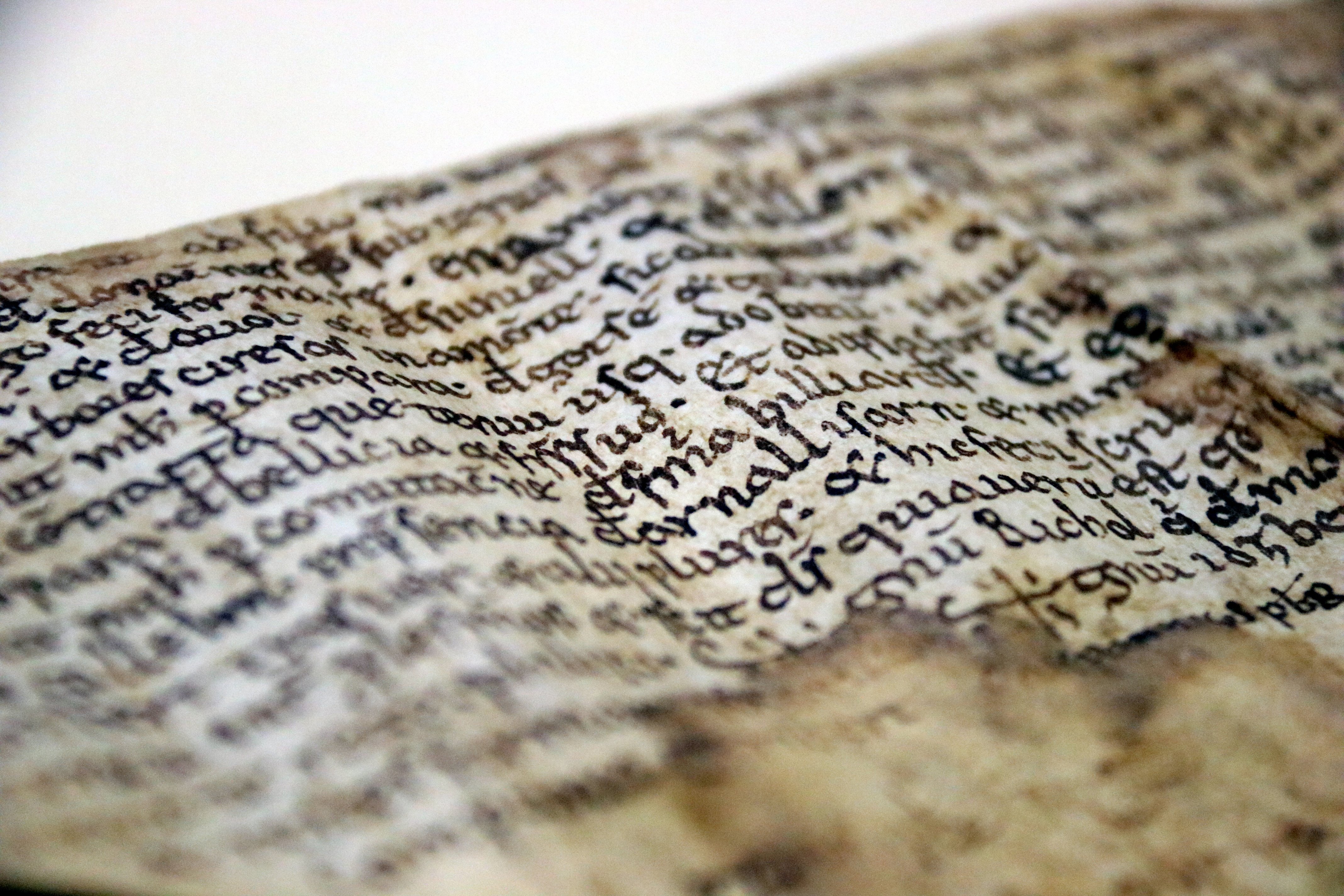 El 'Llibre dels jutges' de la Seu d'Urgell, el text més antic en català