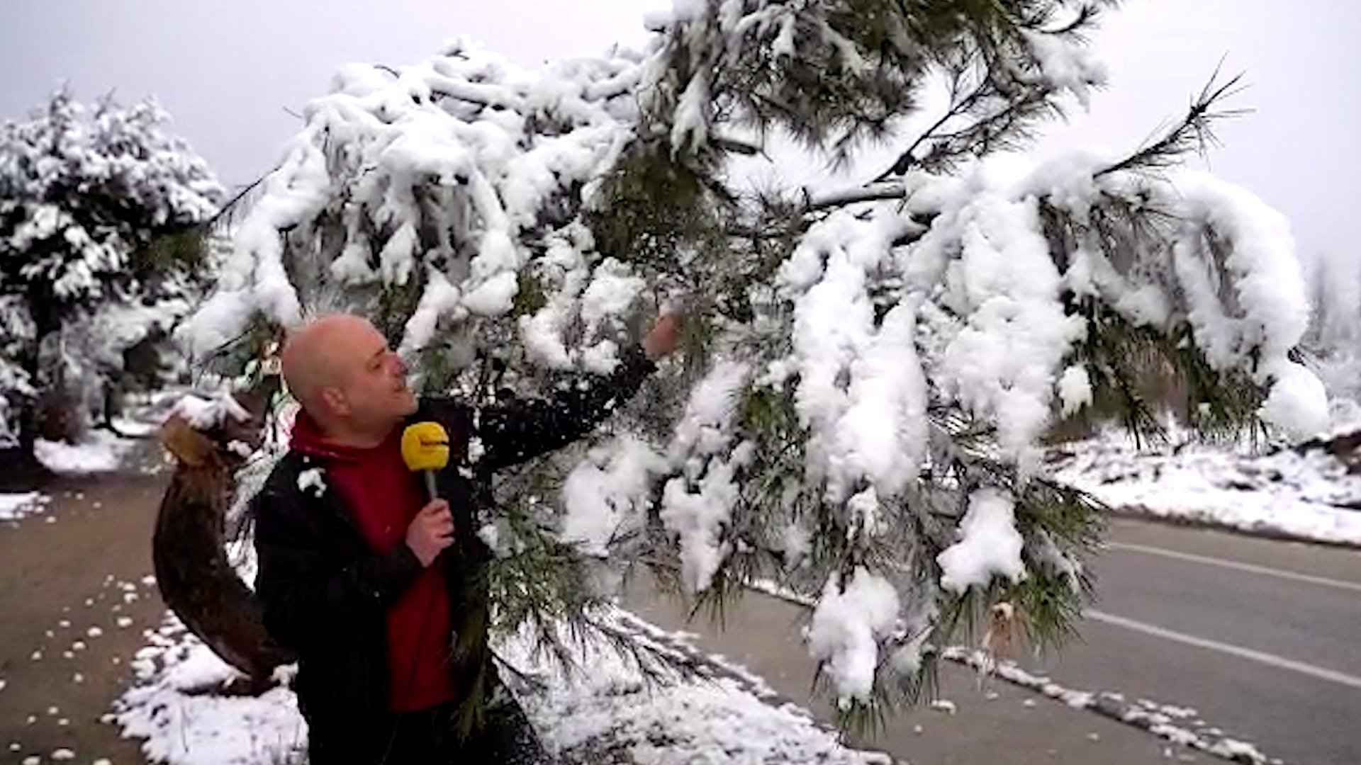 IMAGES & VIDEOS: Snow cloaks parts of Barcelona in white, with another cold wave on the way