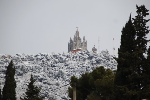 neu tibidabo acn