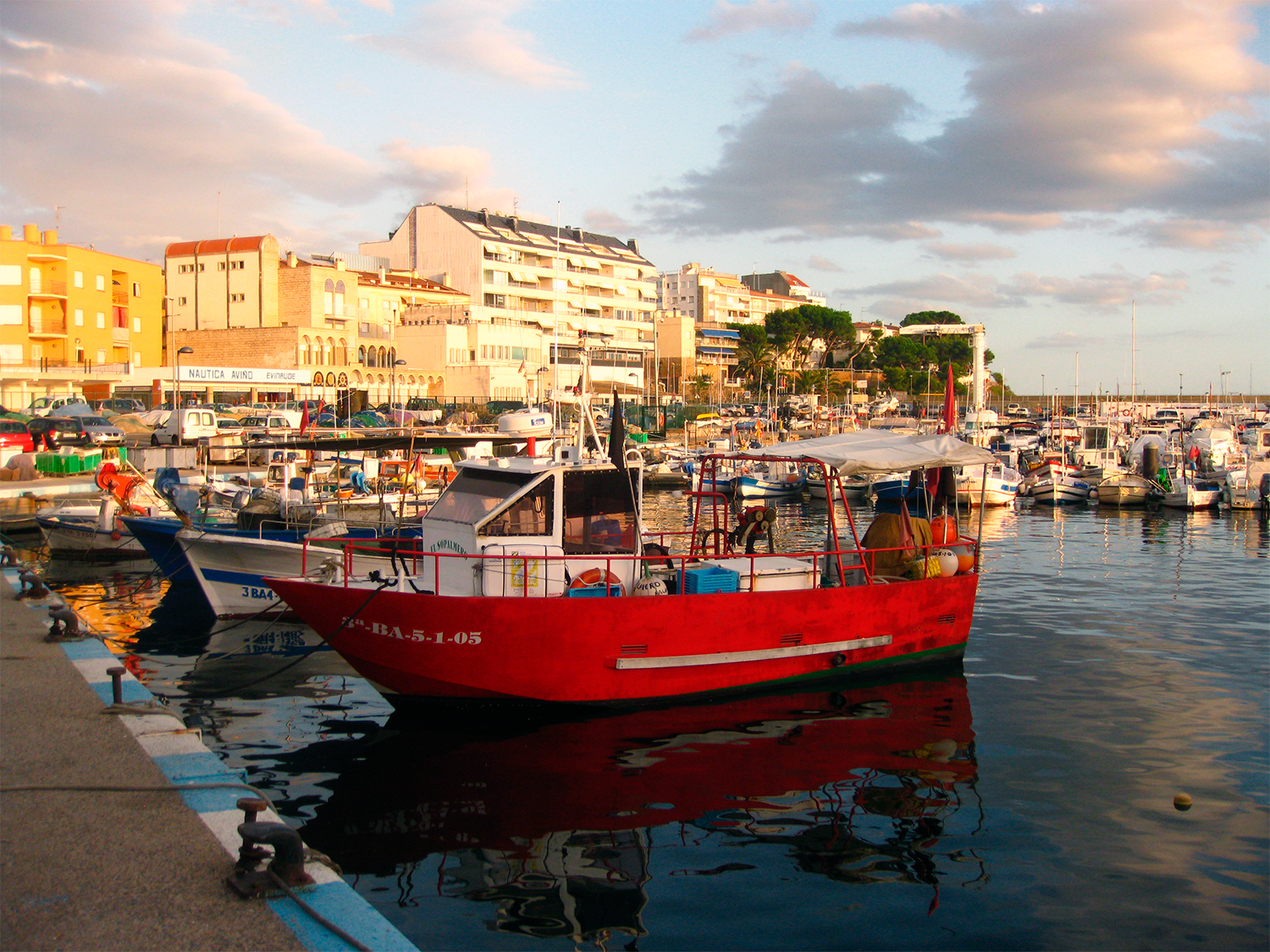 Les peixateries volen acostumar-nos a consumir espècies de peix i marisc diferents de les habituals