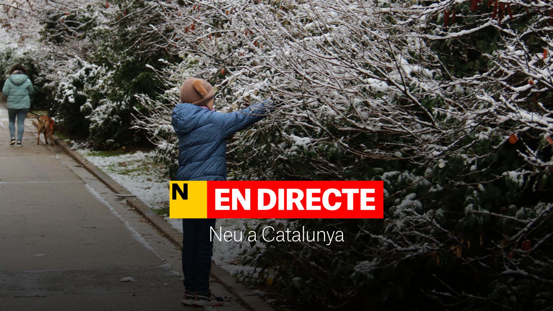 Neu a Catalunya, DIRECTE | Temps a Barcelona i última hora de la previsió