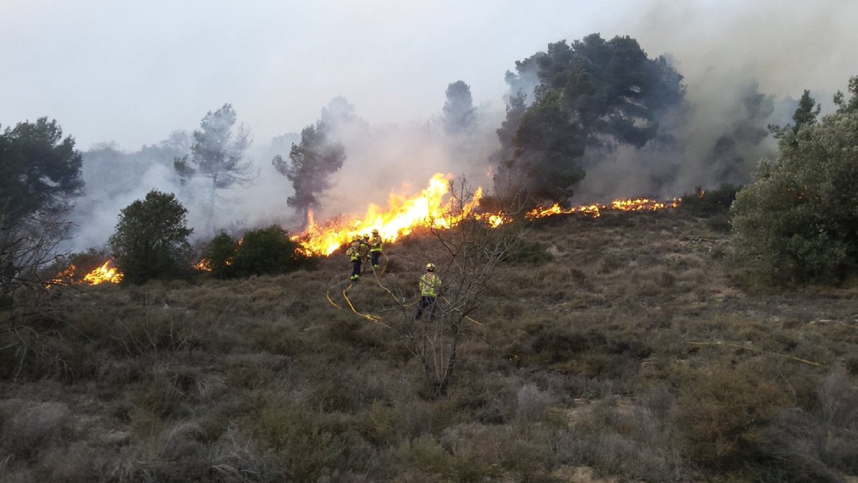 Empieza este jueves la prohibición de hacer fuego en el bosque