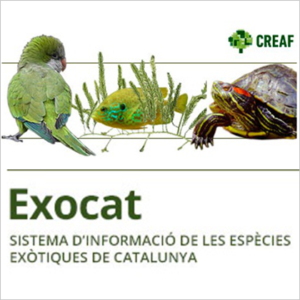 Hasta 21 especies invasoras se han instalado con nosotros durante la última década