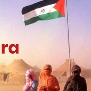 Socialistes Sahara web