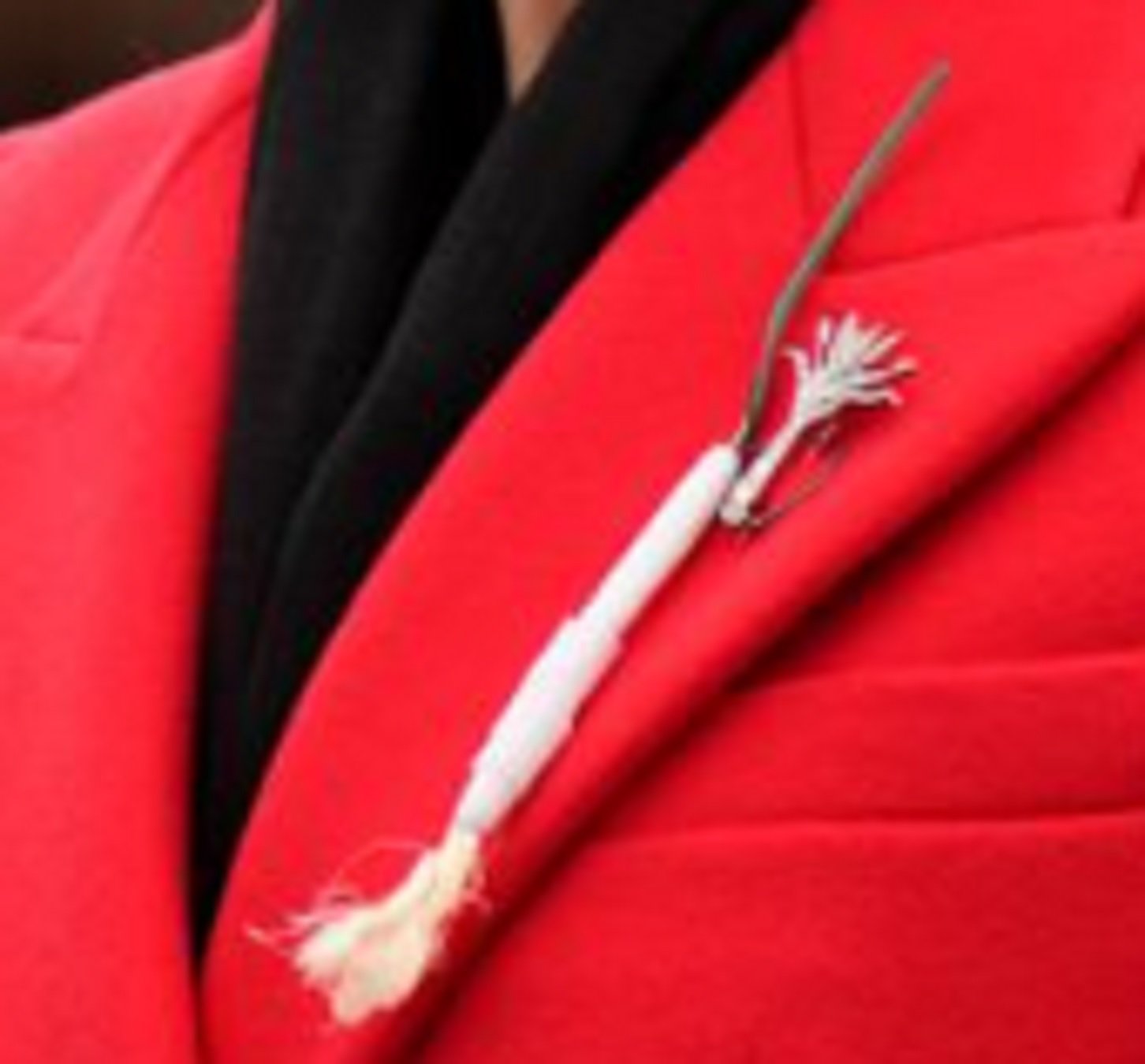 Detalle del puerro Kate Middleton GTRES Detalle del puerro Kate Middleton GTRES
