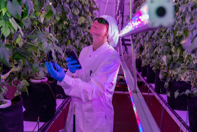 Innovació i alimentació, de la mà