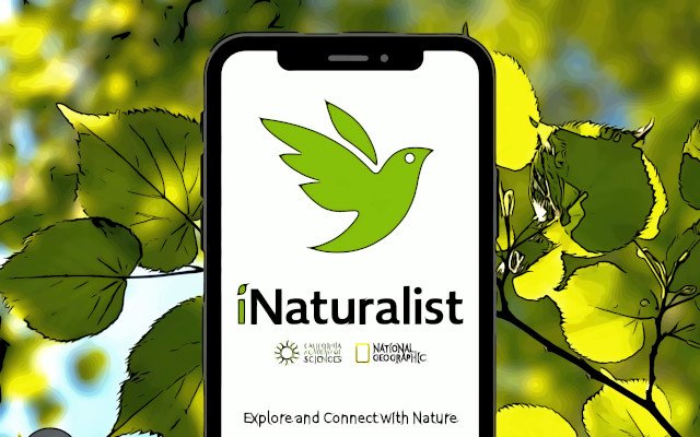 iNaturalist iNaturalist