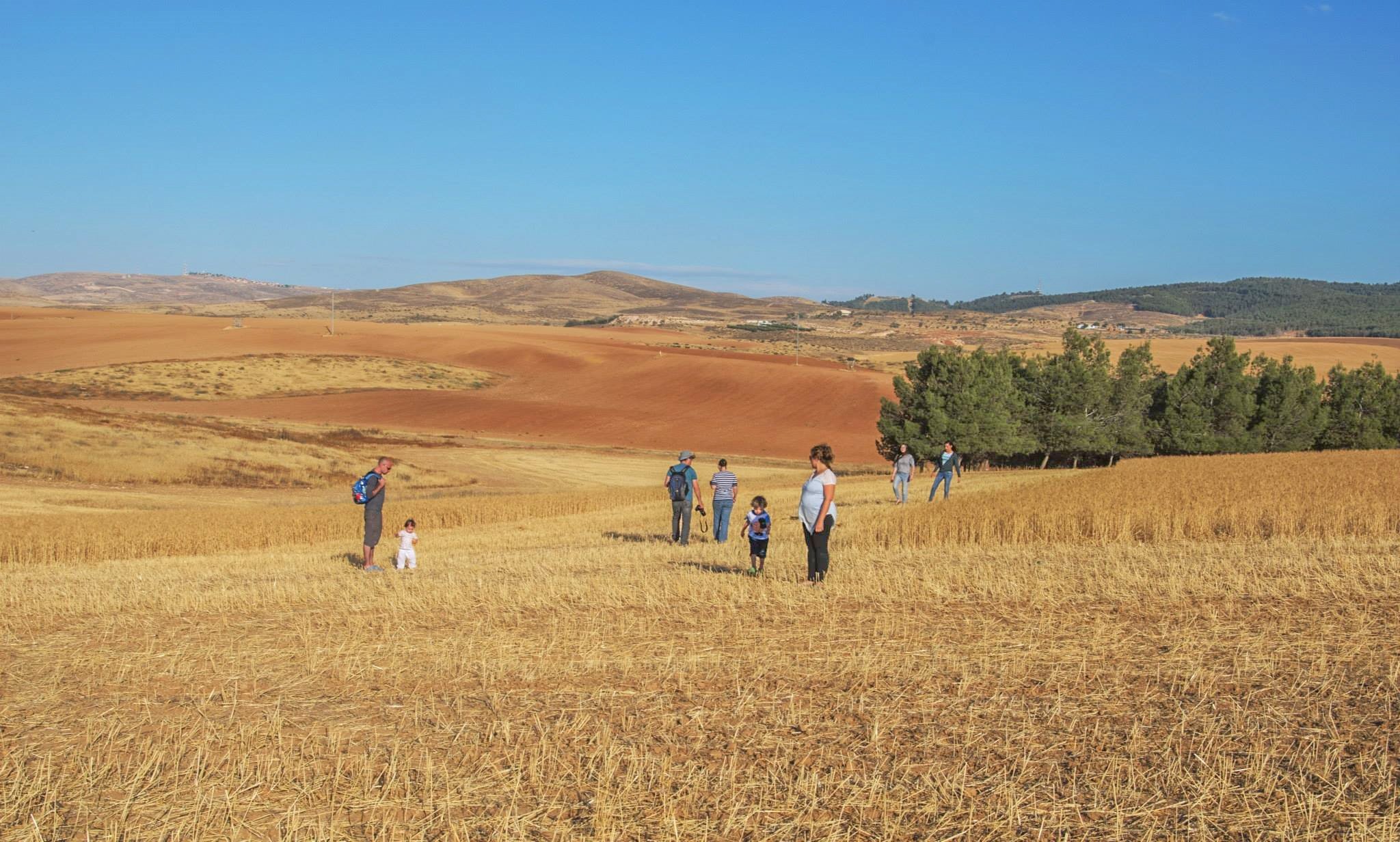 Campos de cultivo en el kibutz Dvir. Foto cedida por Gabriel Trzewik