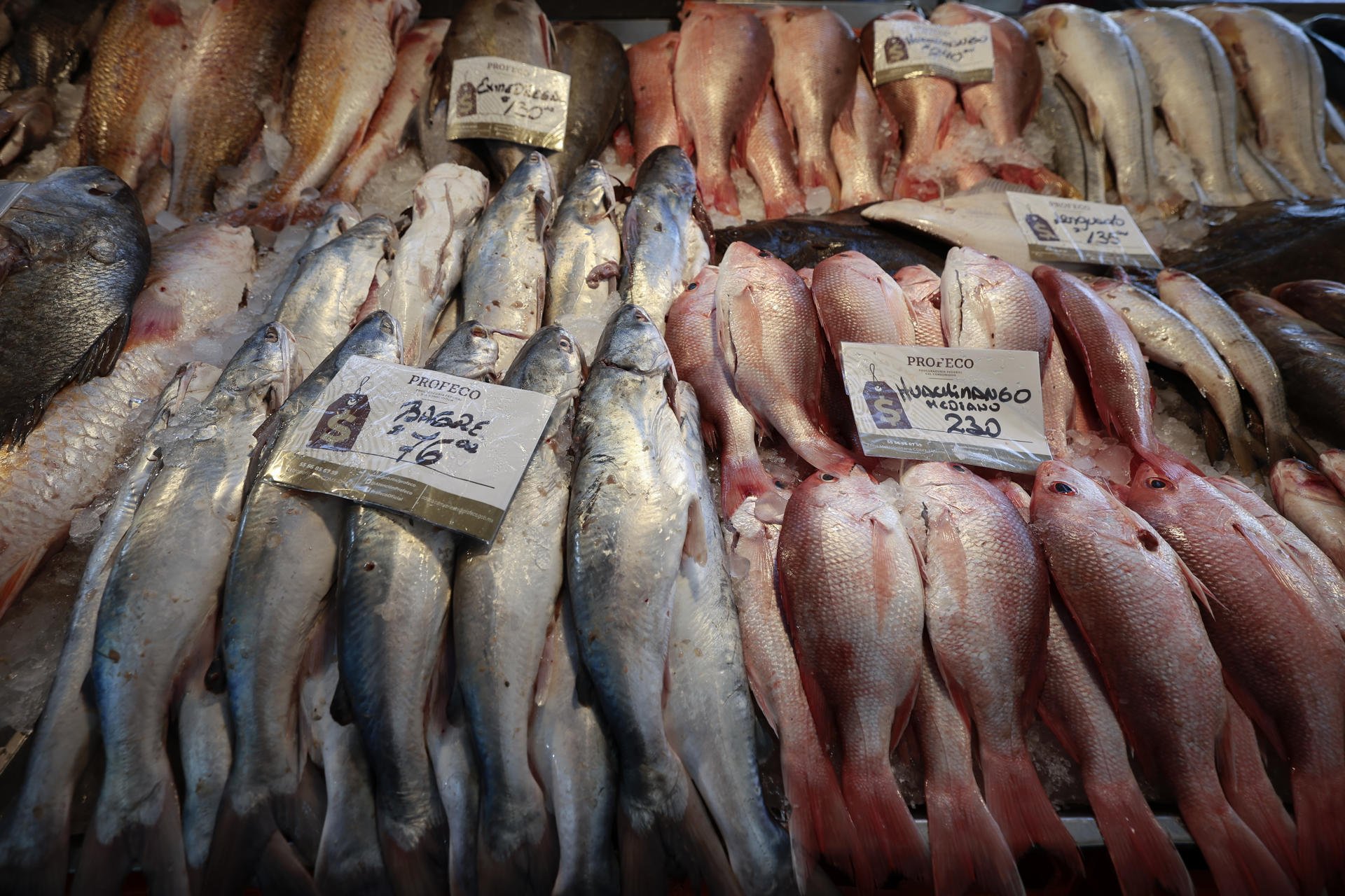 Ciudad de México (México) Ciudad de México (México)