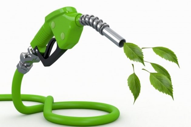 biofuel biofuel
