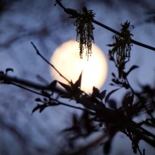 Calendari lunar març 2023: fases de la Lluna i fenòmens celestials del mes