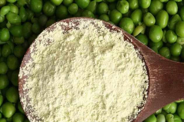 Proteína de Guisante Proteína de Guisante