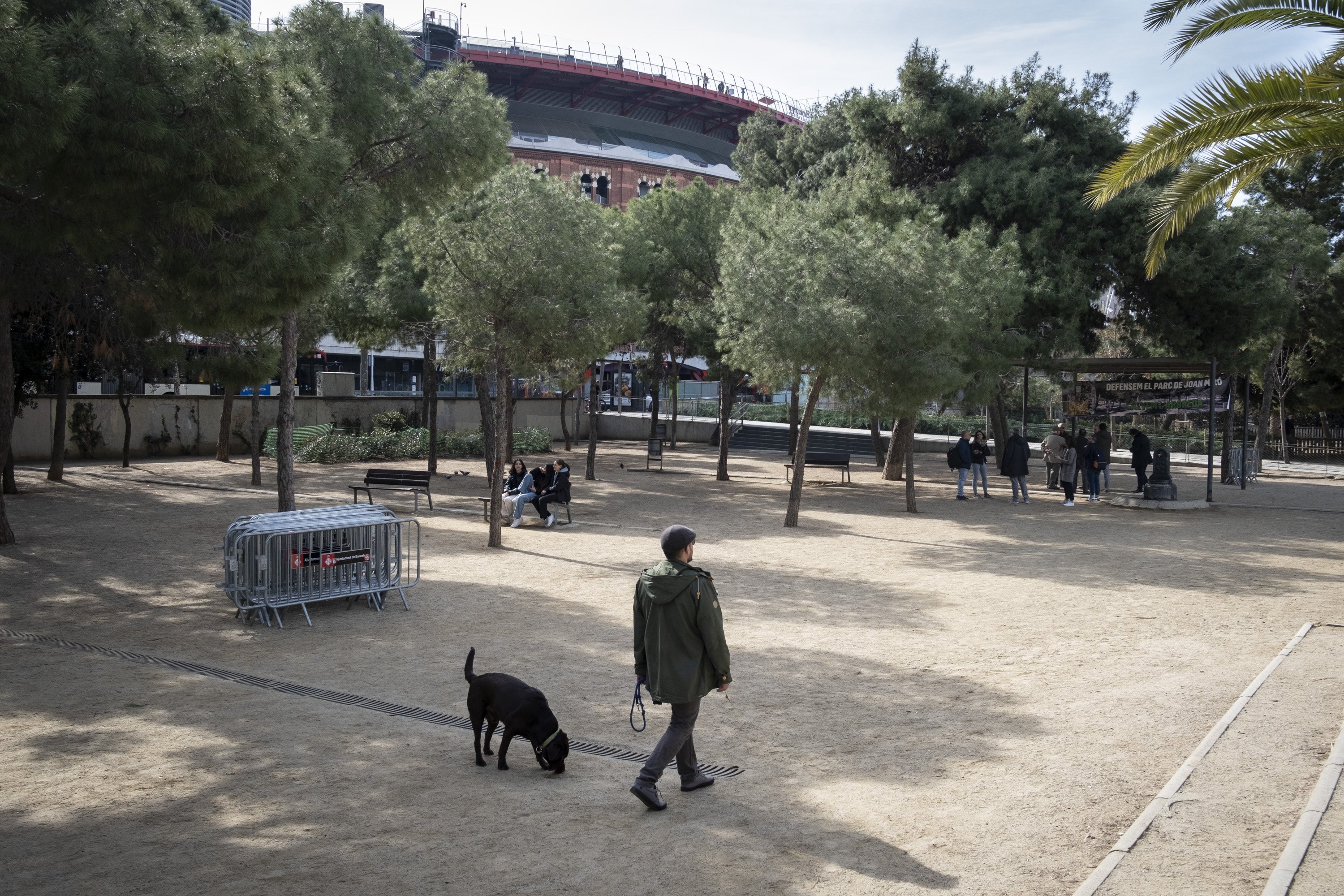 Reclamen la intercessió de la ministra Ribera per evitar la tala d’arbres al parc Joan Miró
