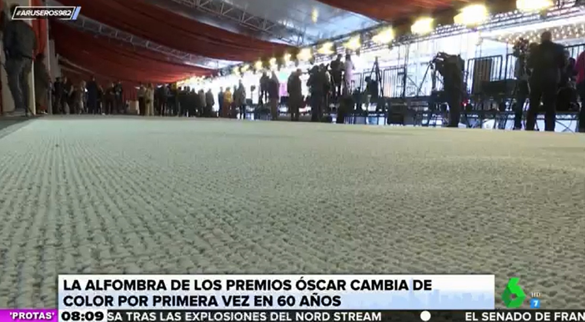 Alfombra color champagne 2   L6