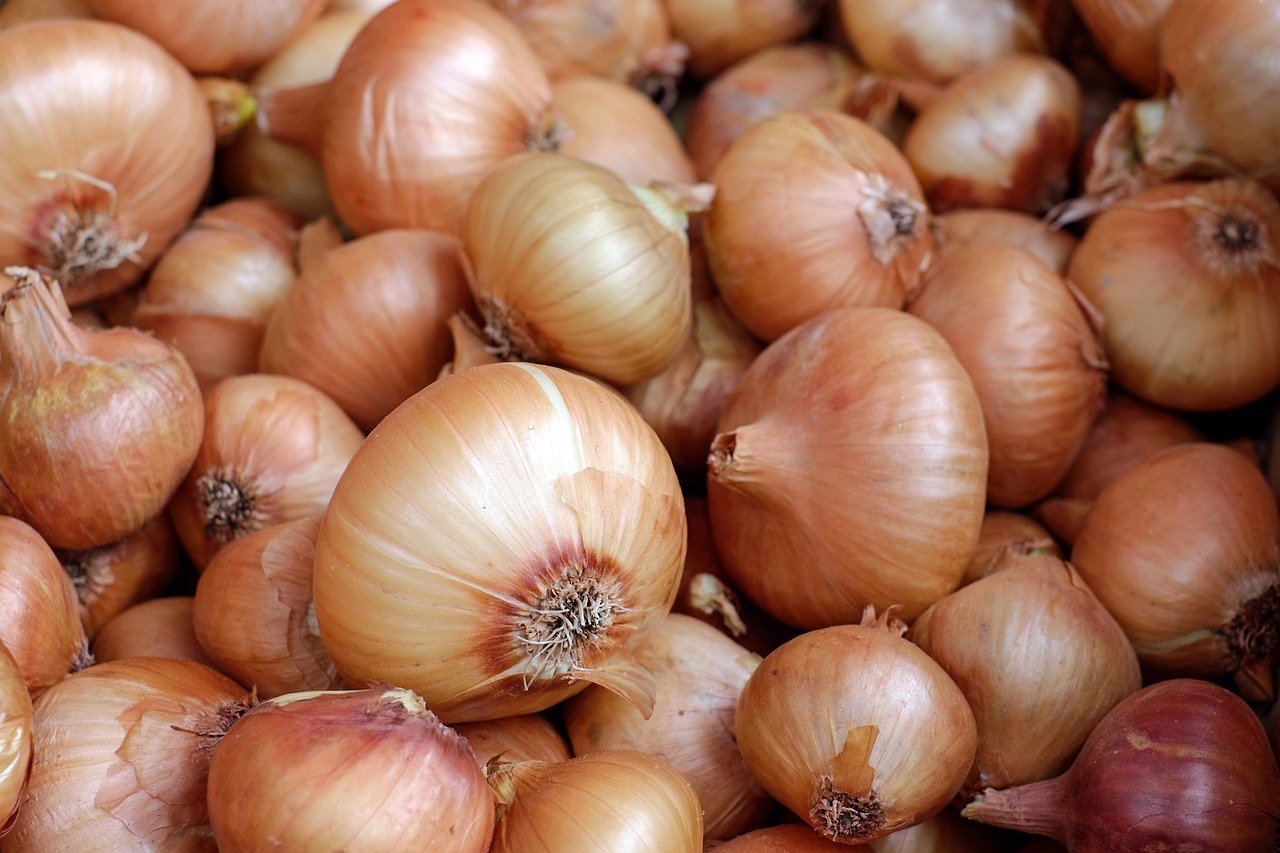 onions g0d95773e2 1280 onions g0d95773e2 1280