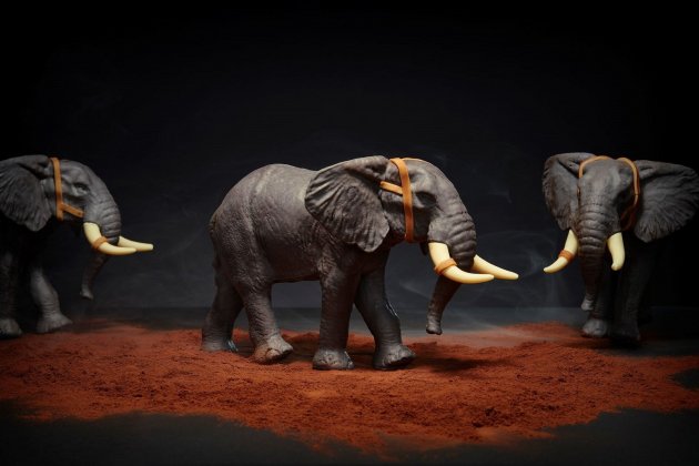 elefants mona lluc crusellas xevi abril elefants mona lluc crusellas xevi abril