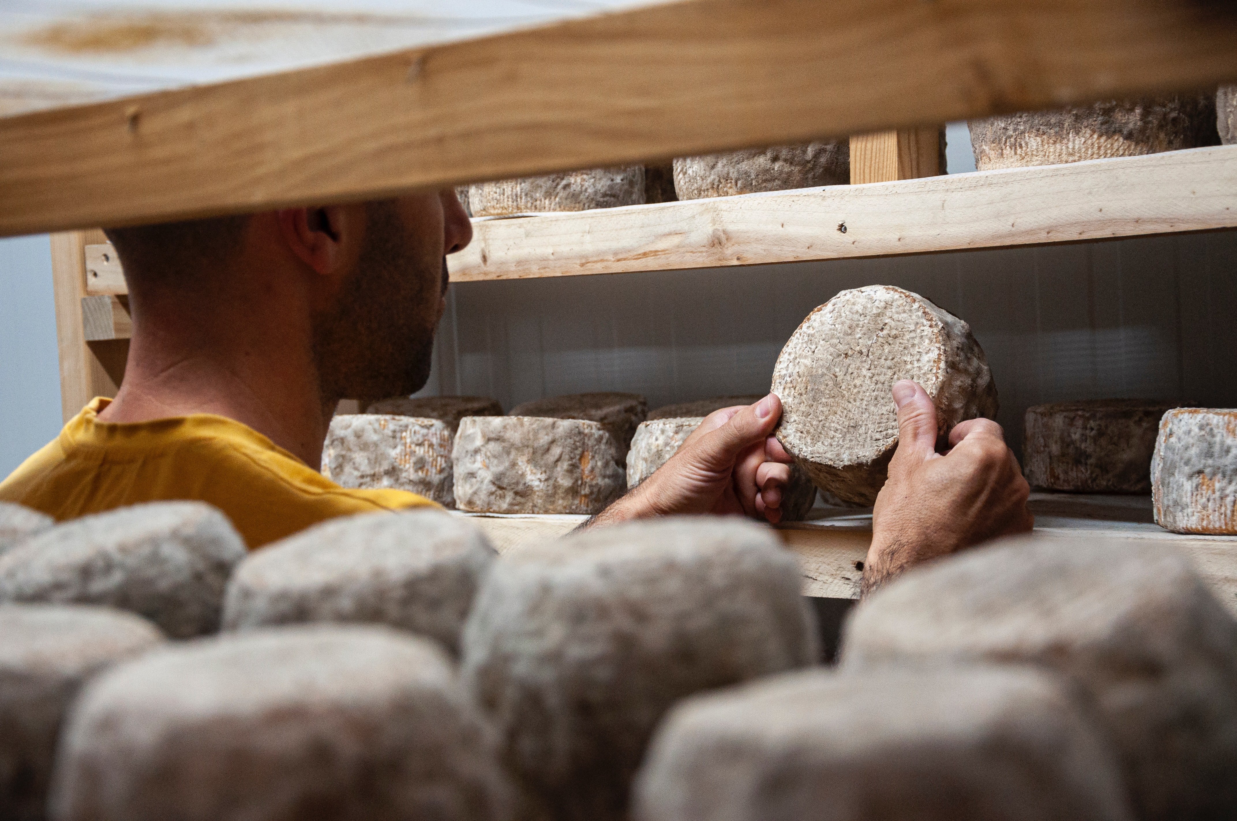 Les caves, la sagristia dels formatges