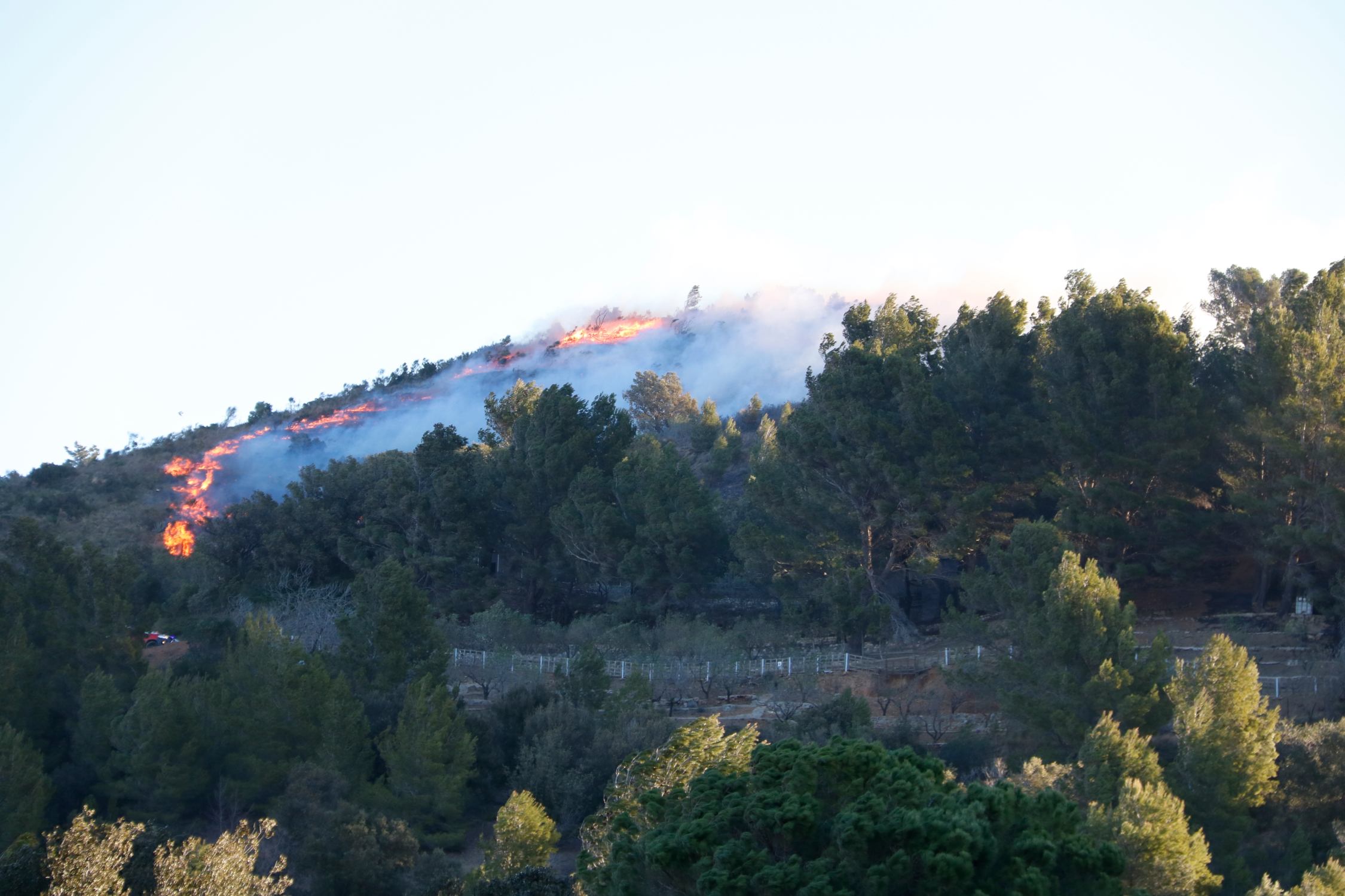 Incendio entre La Selva del Camp y L'Albiol: estabilizado a pesar del fuerte viento que hace en la zona