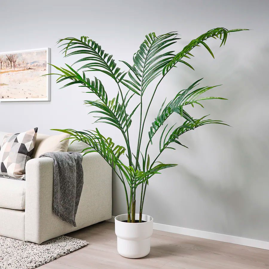 Planta FEJKA2 Planta FEJKA2