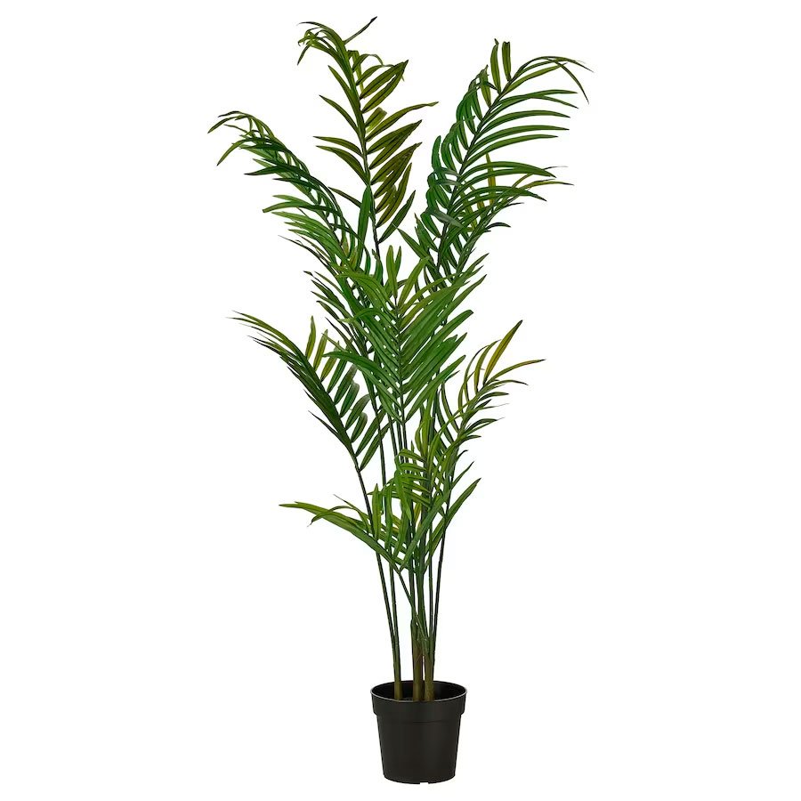 Planta FEJKA1 Planta FEJKA1