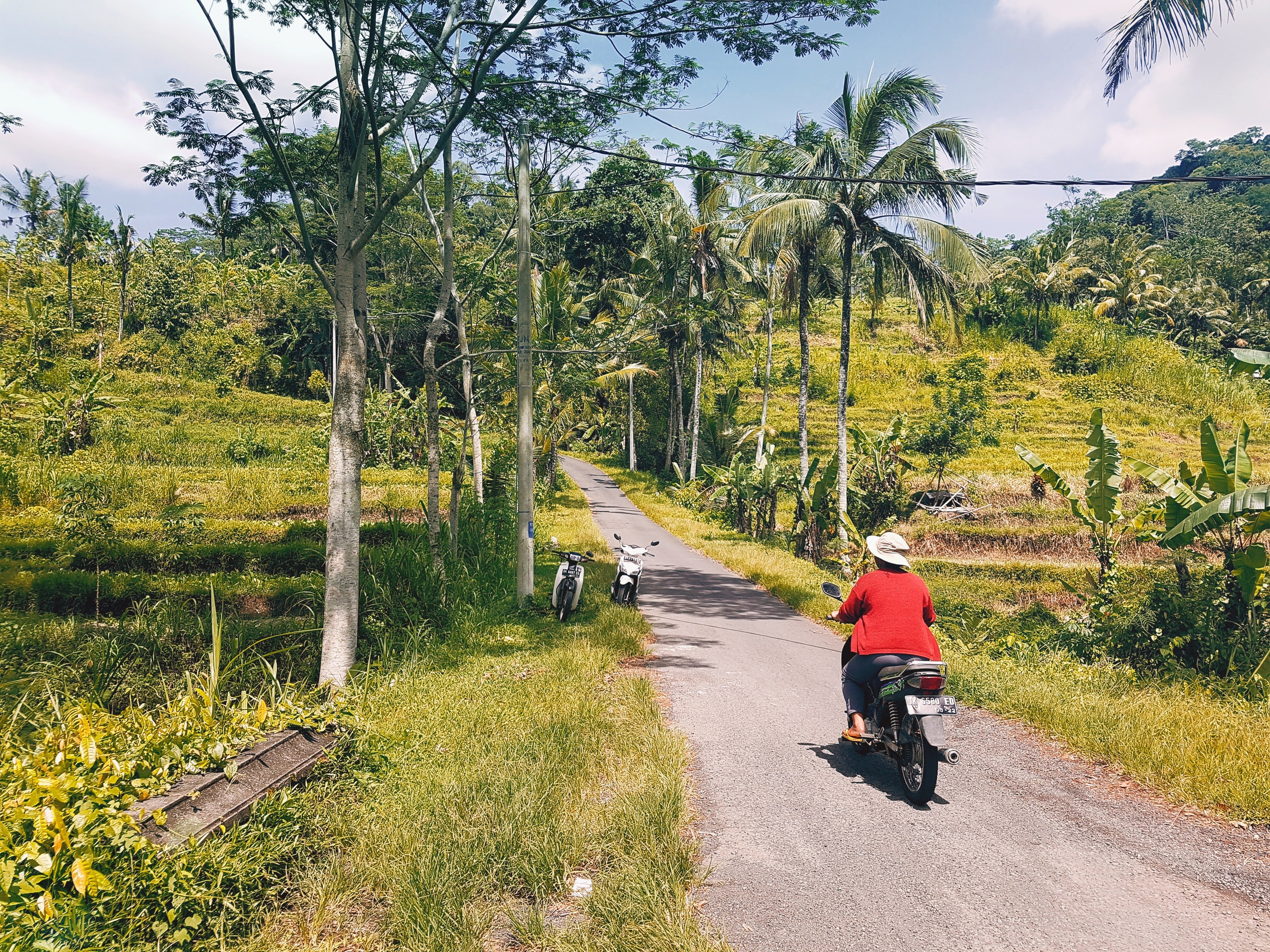 Bali: el gobierno se plantea prohibir las motos a los turistas por mal uso