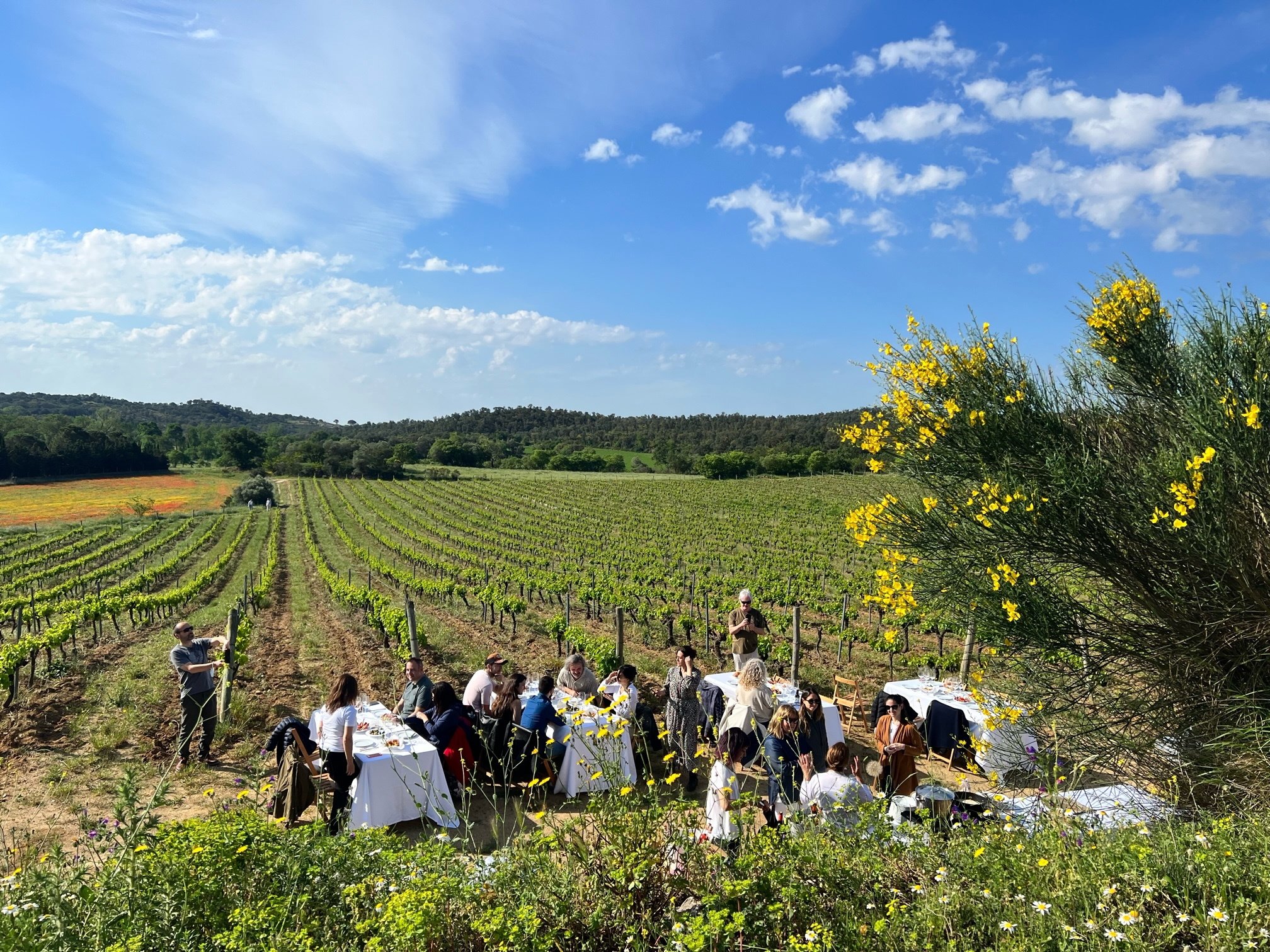Vuelve el Festival Vívid: 10 planes imperdibles para disfrutar del vino en la Costa Brava