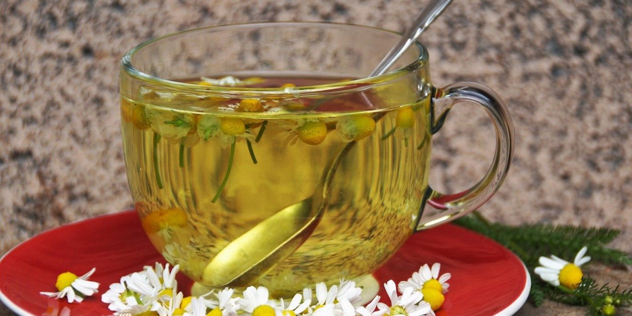 Las 5 mejores infusiones para dormir toda la noche: ¿funcionan? Las 5 mejores infusiones para dormir toda la noche: ¿funcionan?