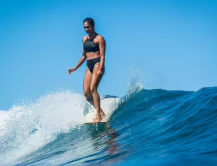 surf surf
