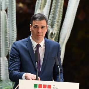 Pedro Sanchez president govern espanyol cimera portugal / europa press