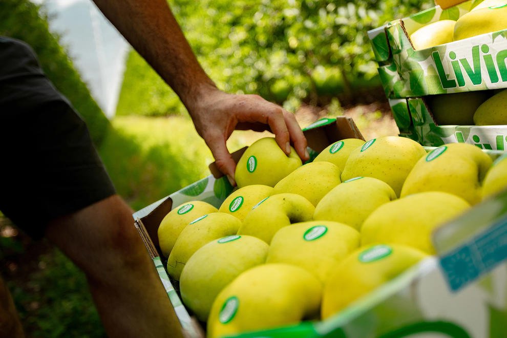 pomes|illes pomes|illes