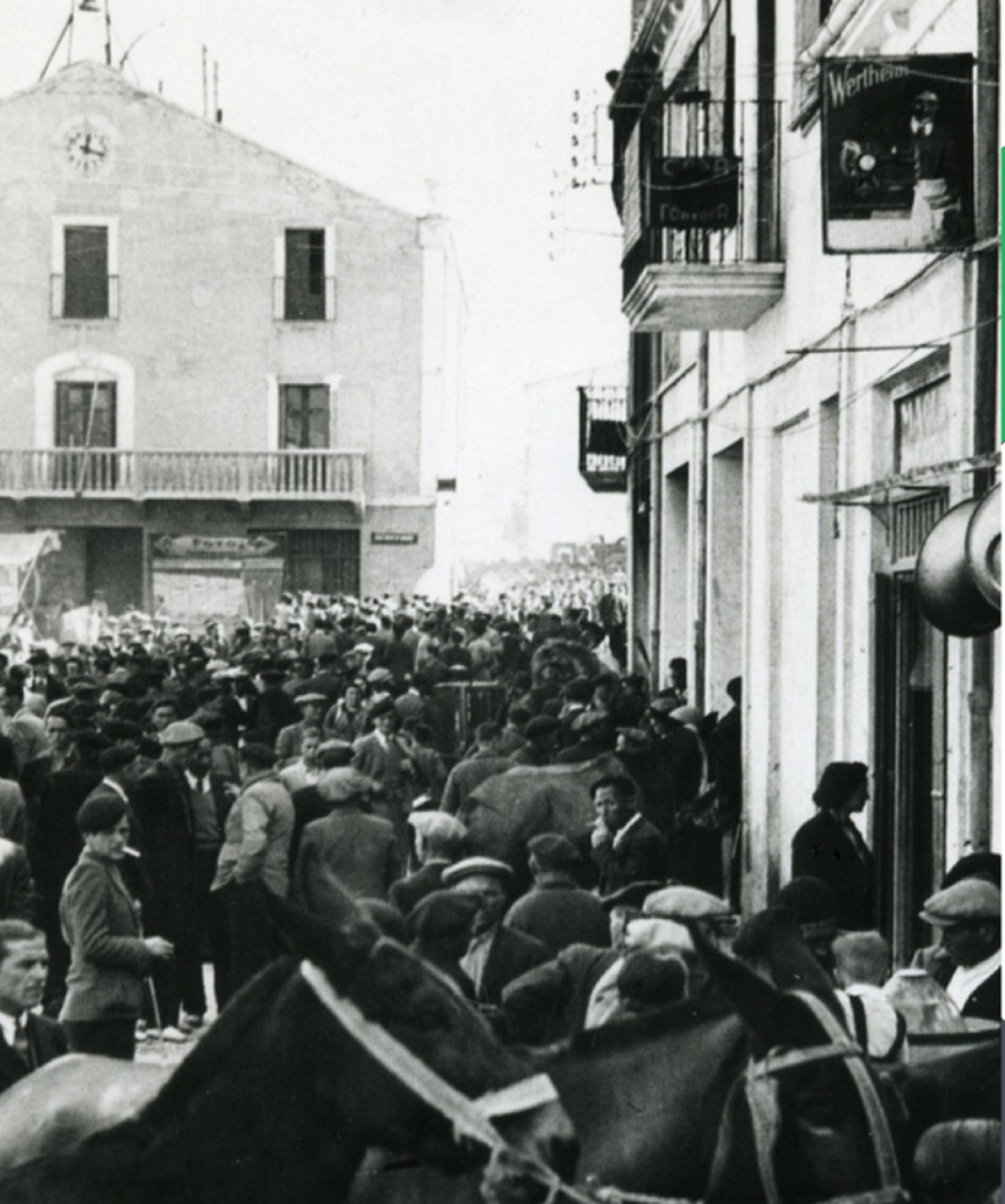 150 edición de la Fira de Mollerussa, la gran fiesta agroganadera de Catalunya