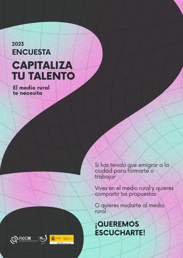 Flyer Enquesta Capitaliza el teu talent Flyer 600x849