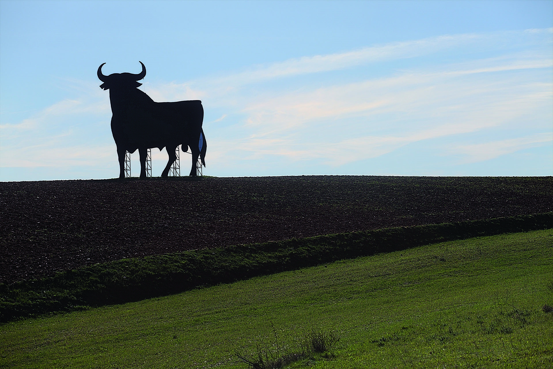 El Toro d'Osborne: 25 anys del seu indult patriòtic