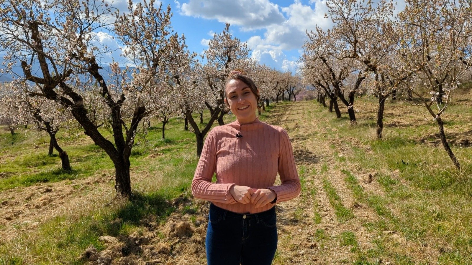 Dilluns comença la primavera i ja apareixen els primers mosquits!