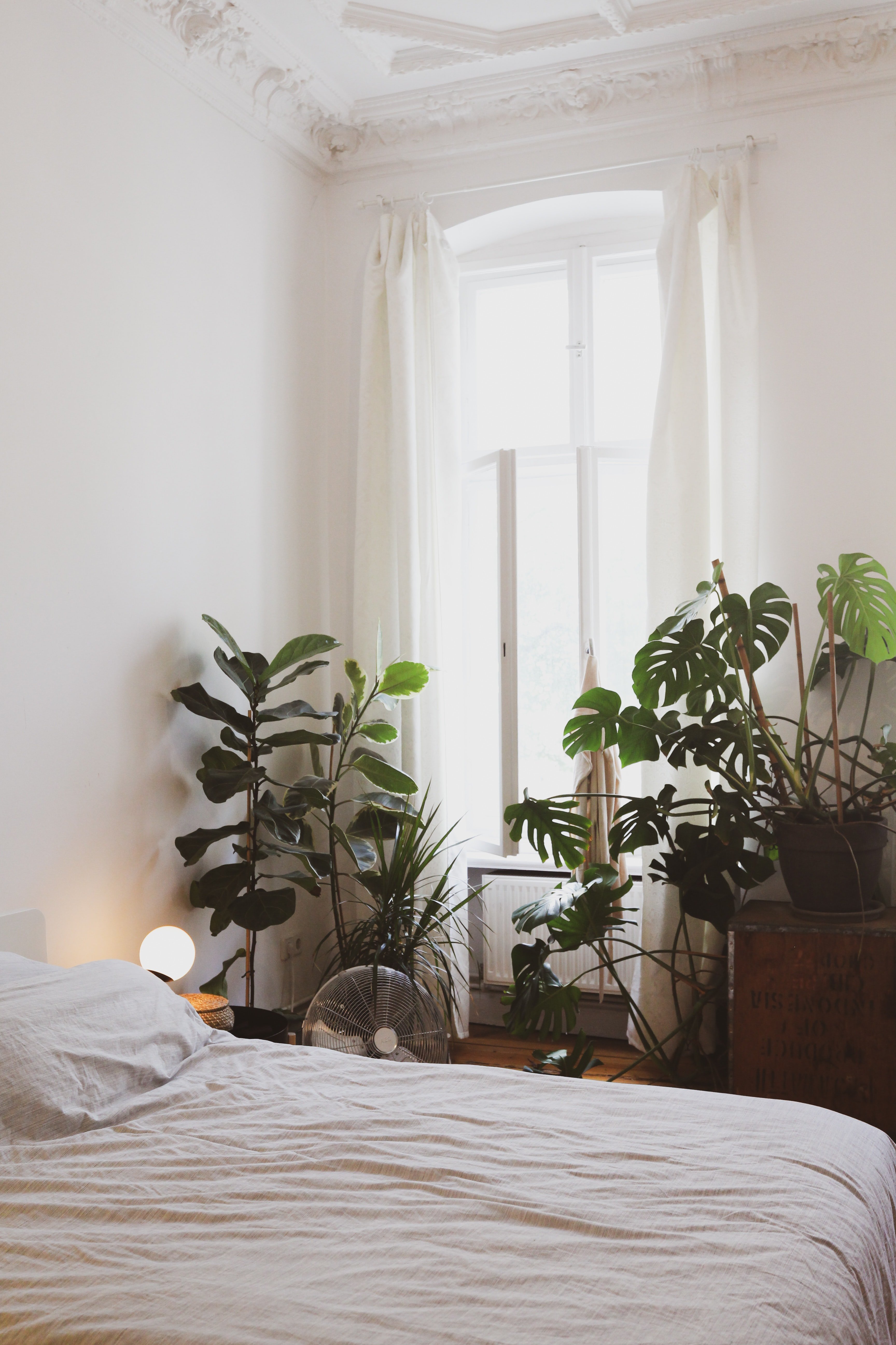 dormitorio plantas unsplash