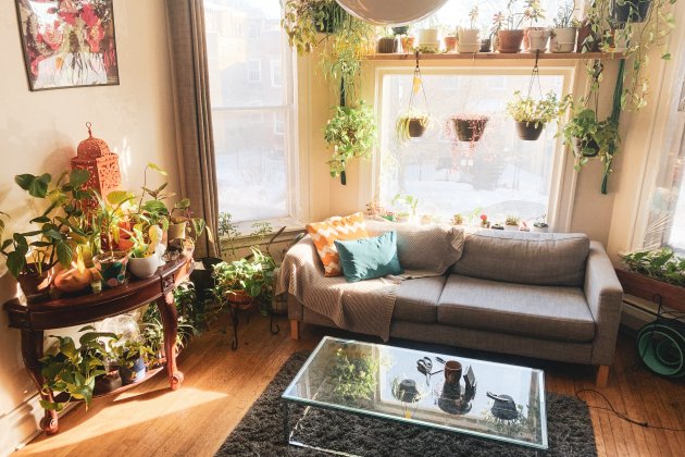 comedor con plantas unsplash