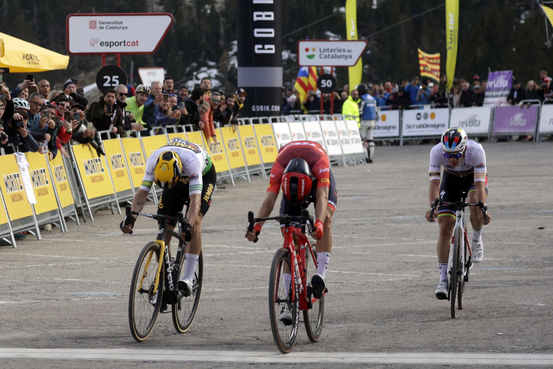 Ciccone sorprèn Roglic i Evenepoel a Vallter en el primer gran final de la Volta a Catalunya