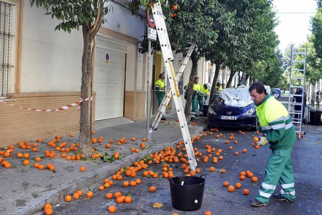 partida recogida naranjas crece euros 1411369932 112868703 1200x675