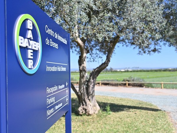 centro experimental de bayer en brenes