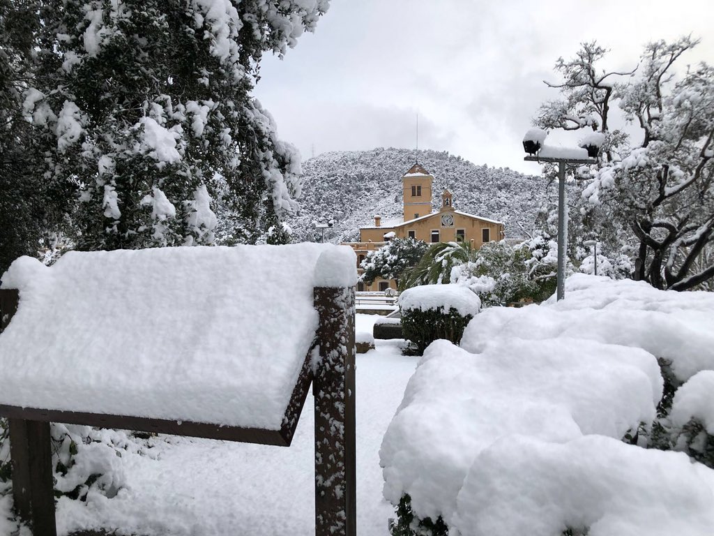 La nevada a les xarxes