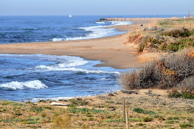 Espacios naturales Delta Llobregat (2)