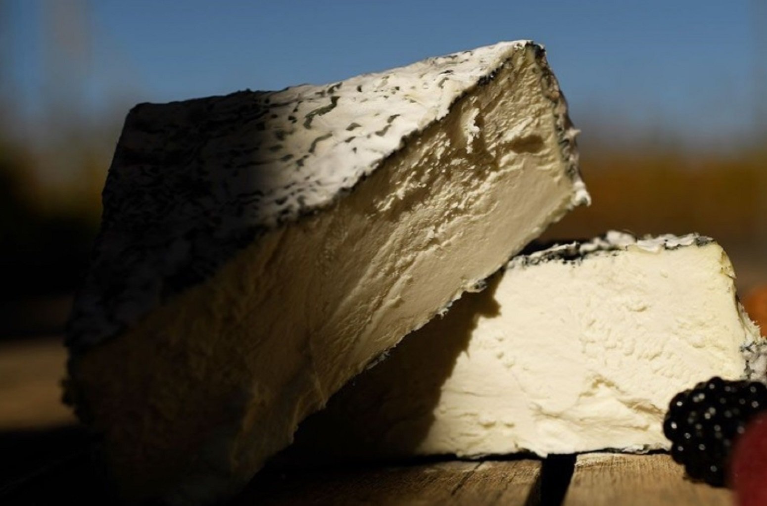 Los 3 quesos de los Pirineos que no te puedes perder por el Día Mundial del Queso