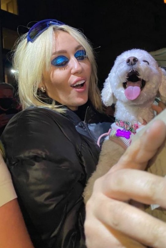 Miley Cyrus y uno de sus perros