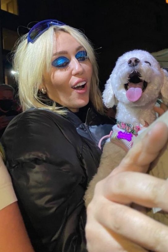 Miley Cyrus i un dels seus gossos Miley Cyrus i un dels seus gossos