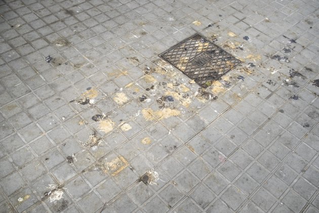 Excrementos Barcelona aves pájaros / Foto: Carlos Baglietto Excrementos Barcelona aves pájaros / Foto: Carlos Baglietto
